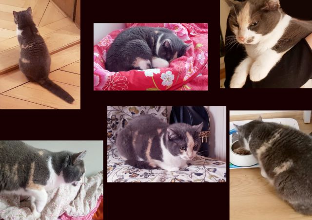 fotoserie_fotografie